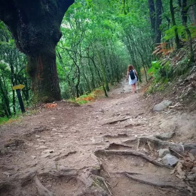 Casa Rural A Casa Vella da Rivera