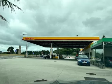 Shell (E.S. Stilmer Dexter)