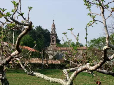 JBercero Mecánica de Automoción s.l