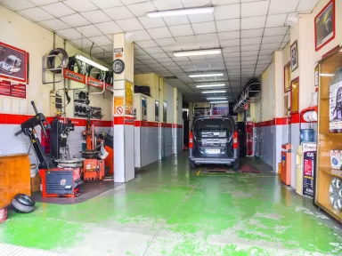 Oscar Tires ( neumáticos Pernas)