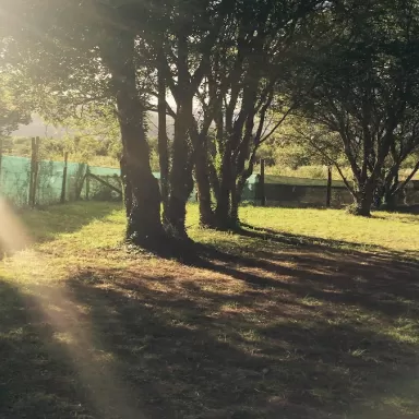 Bungalows Camping Barraña