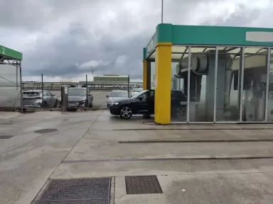 Shell (E.S. Stilmer Dexter)