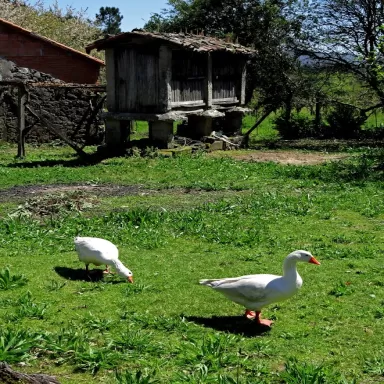 JBercero Mecánica de Automoción s.l