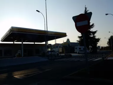 Shell (E.S. Stilmer Dexter)