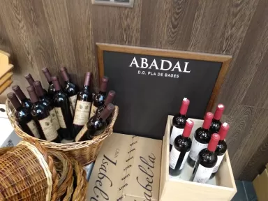 PrevenControl ITV Palamós