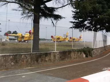 Shell (E.S. Stilmer Dexter)