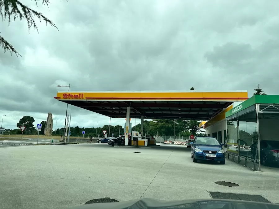 Shell (E.S. Stilmer Dexter)